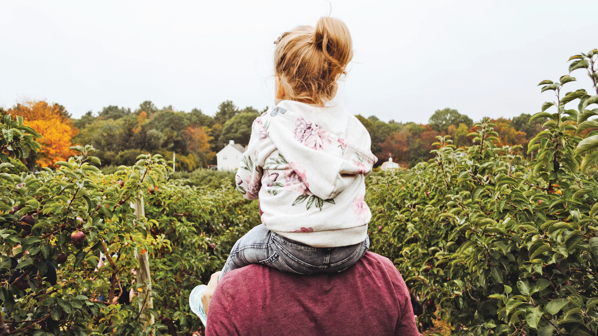 Photo of young girl riding piggyback on dad