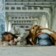 Photo of homeless man resting under bridge