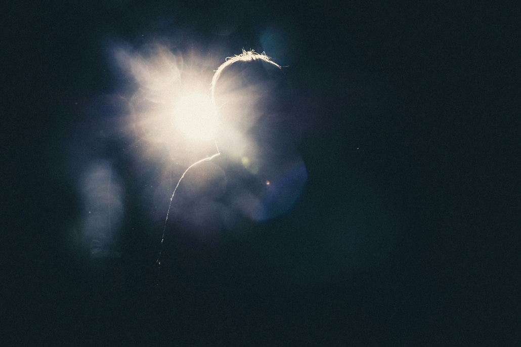 Photo of person's silhouette and lens flare